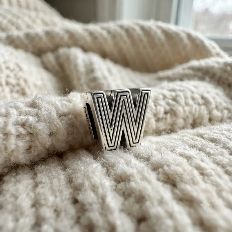 Pandora Reflexions™ Letter W Clip Charm photo review